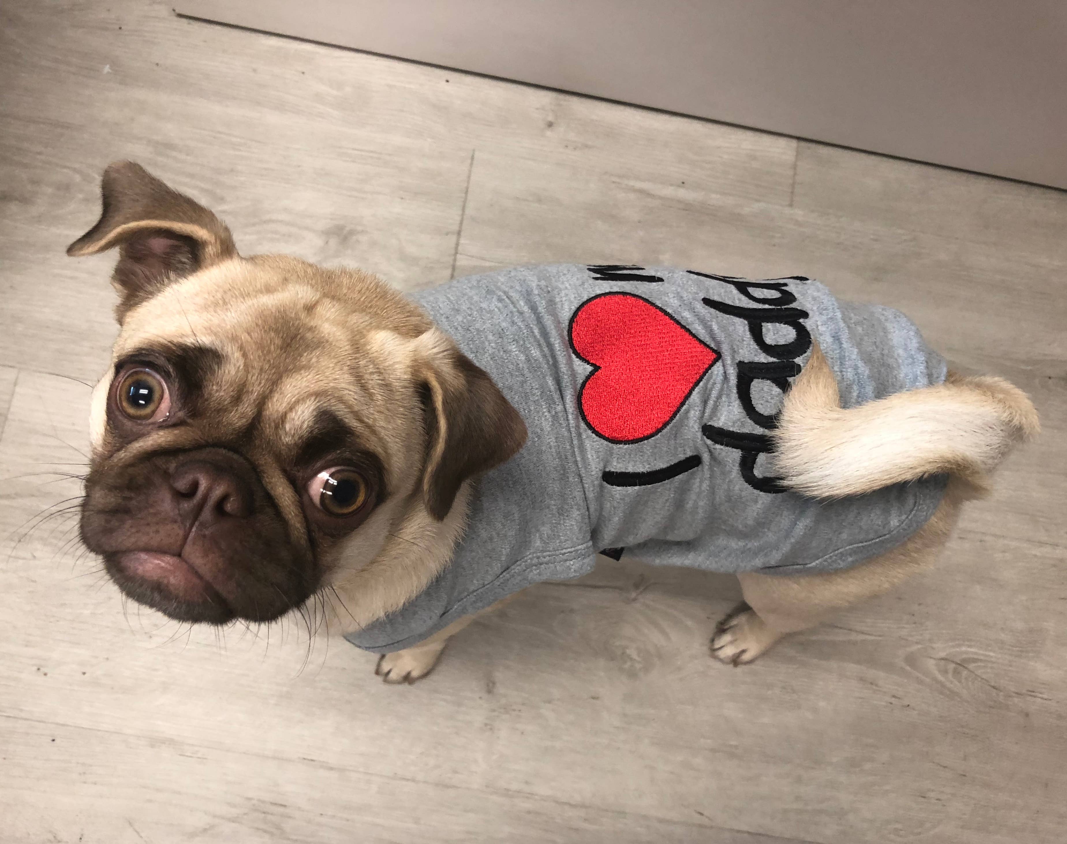 Grigio Maglietta "Amo Papà Cane" – Adorabile Maglietta per Cani in vendita all'ingrosso su Faire2