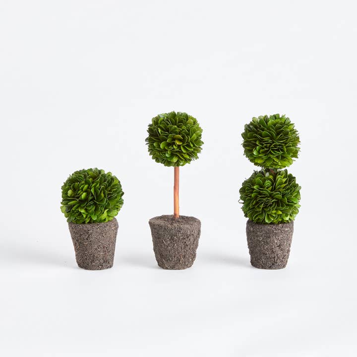 GRØN Boxwood Mini Topiary Drop-Ins for engroshandel på Faire2