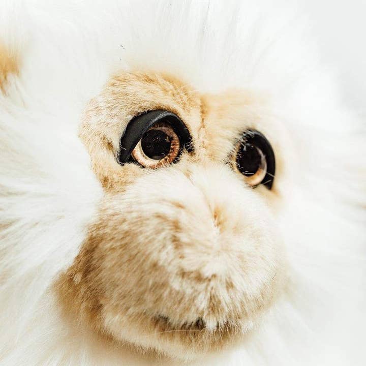 custard My Monkey Marcel Plush for wholesale on Faire