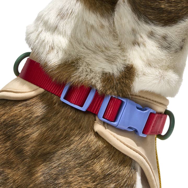 Wild One - Wholesale Pet Harness - Dog - Harness65