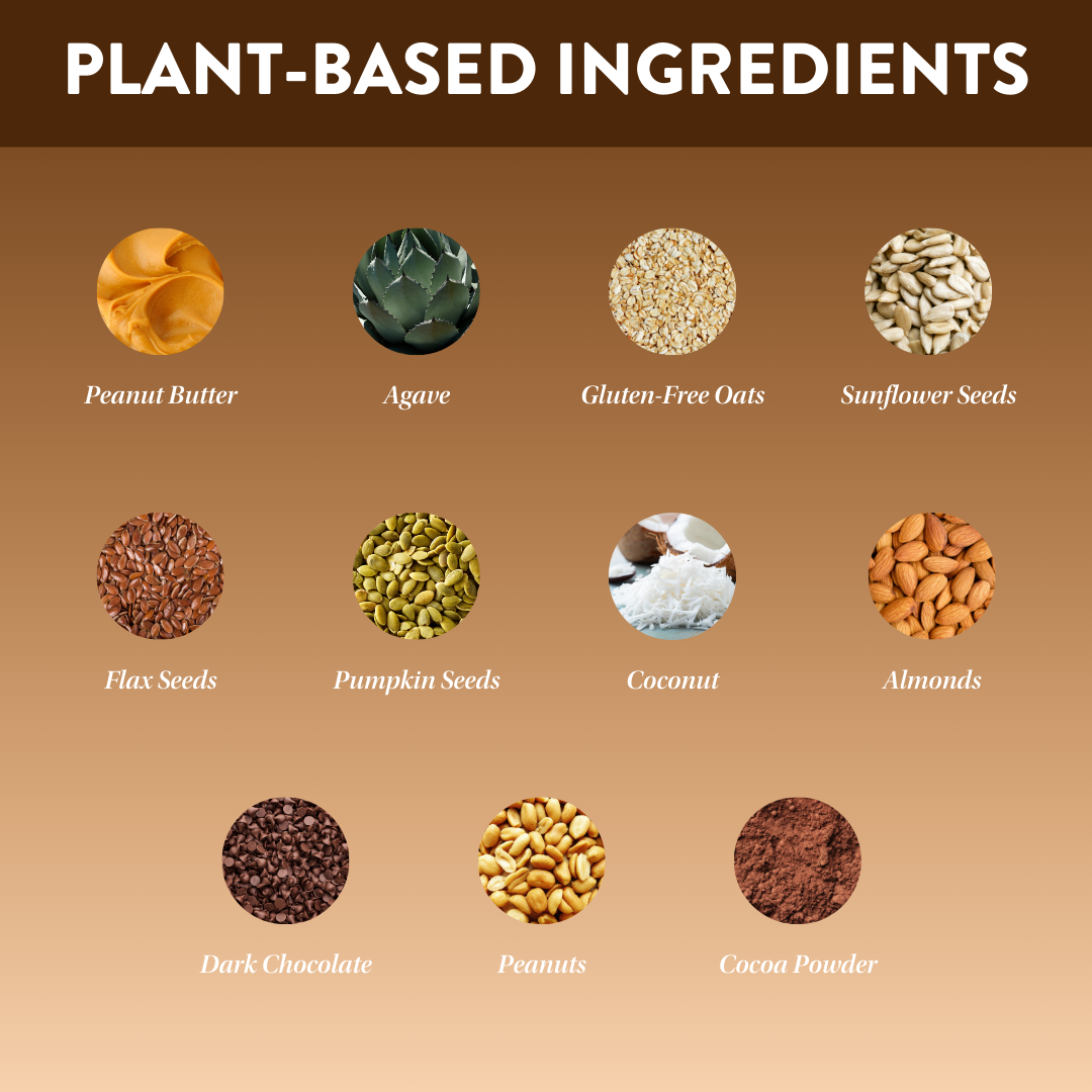 Protein Puck - Wholesale Snack Bar - Cocoa Peanut Fusion (Peanut Butter, Chocolate) (16 - 3.25oz Bars)2