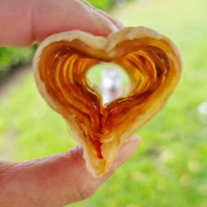 Naked Beasts, Inc. - Wholesale Pet Treats - Dog - Beef Trachea (Grass Fed & Finished)2