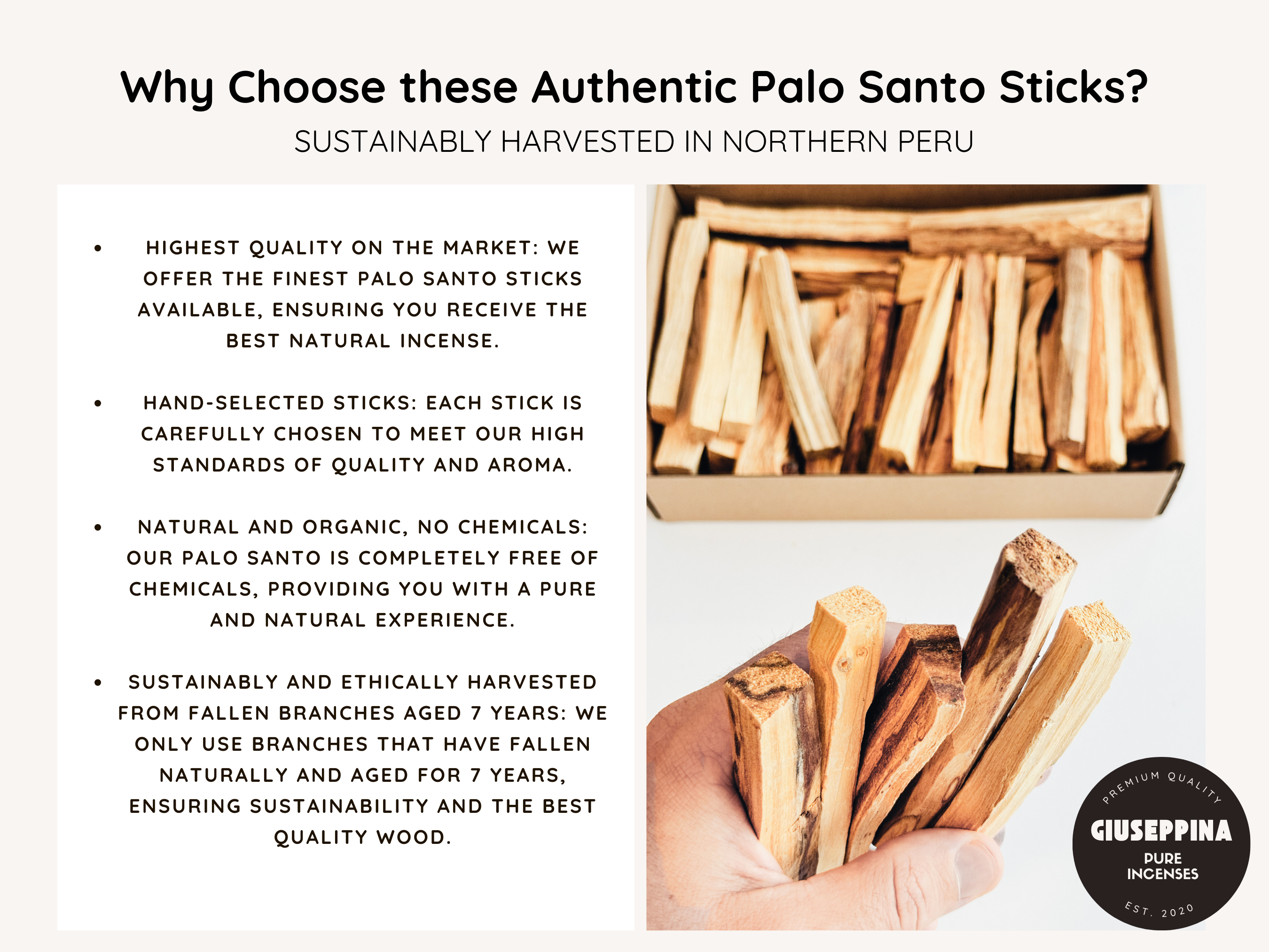 Giuseppina Shop - Wholesale Incense - THE PALO SANTO BOX - 500g Sticks Ethically Sourced from Peru5