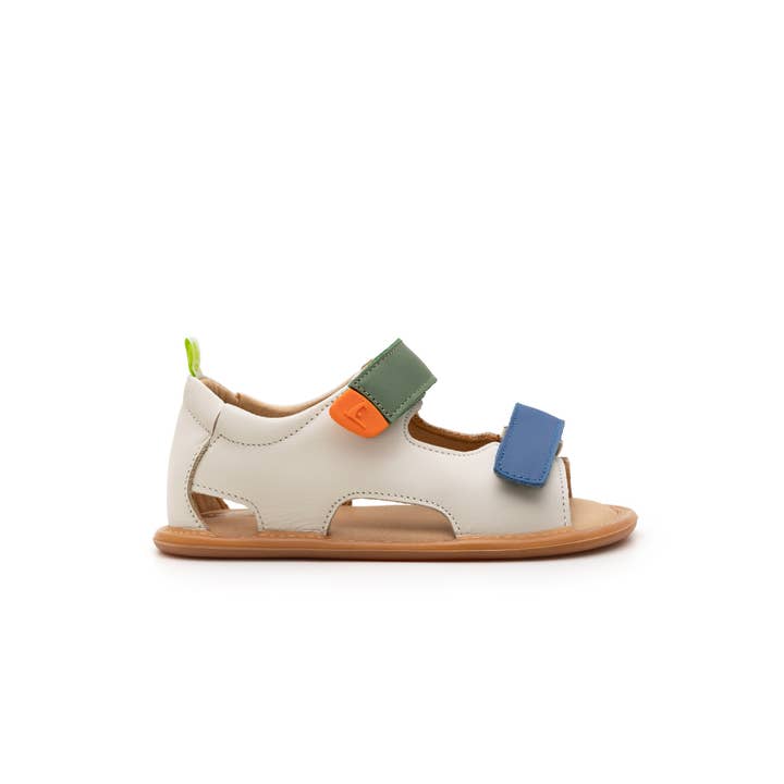 Tapioca Blue Tang Salsa Explore (Tapioca/Blue Tang/Salsa) for wholesale on Faire5