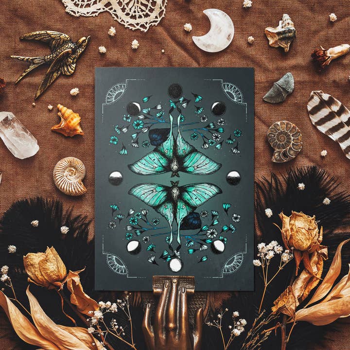 Luna Moth - Glossy Fine Art Postcard for wholesale by Print is Dead