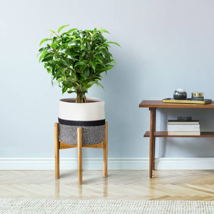 Alfie & Gem - Wholesale Plant Pot Stand - Bamboo Mid Century Plant Stand with Adjustable Width