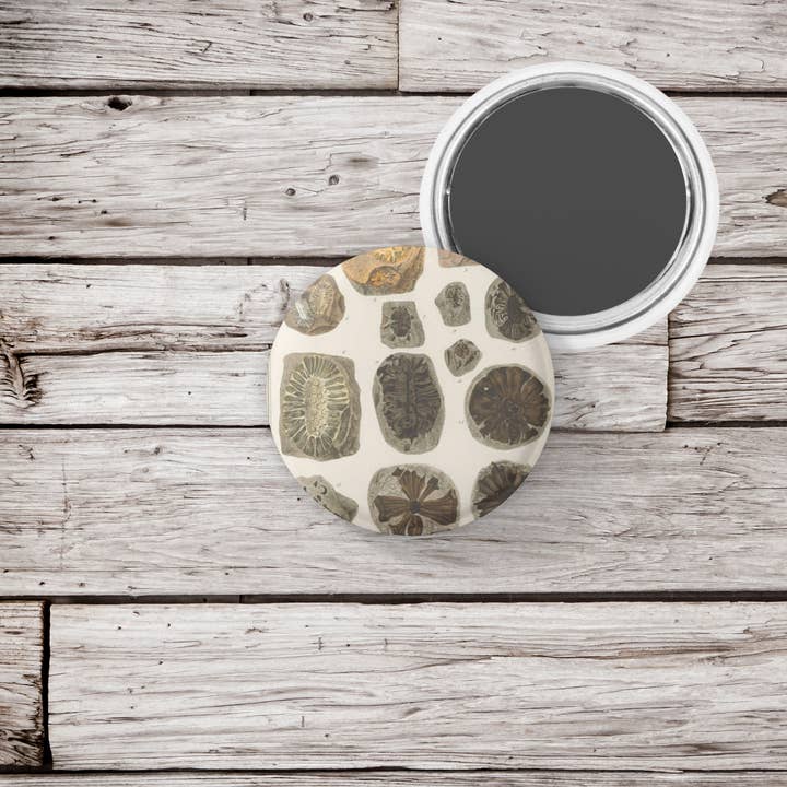 NatureCuts - Wholesale Lapel Pin/Button - Fossil Pin Button, Fossil Keychain, Fossil Magnet