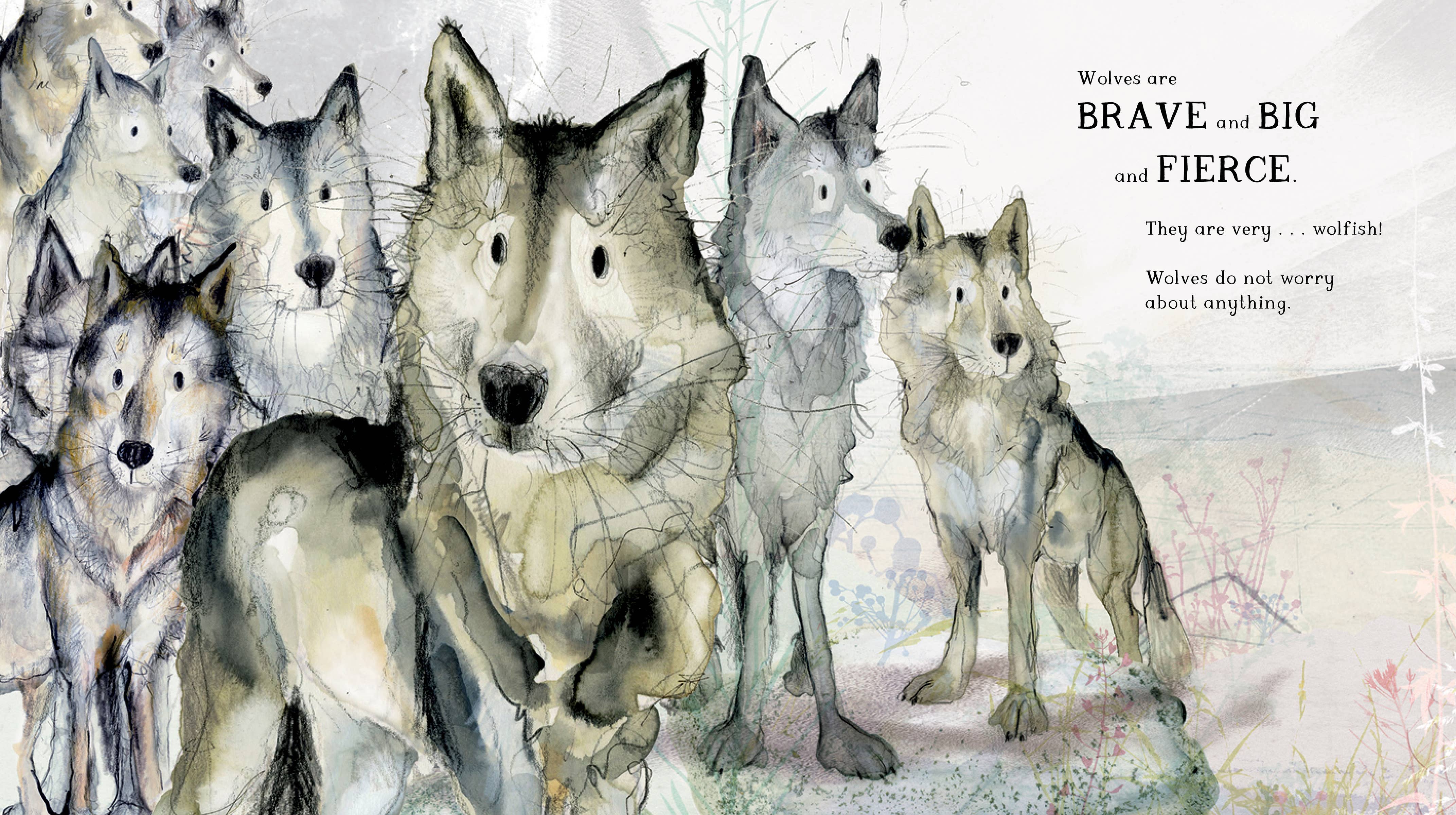 Hachette Book Group - Wholesale Preschool Book (3-5) - Victor, the Wolf with Worries by Catherine Rayner2