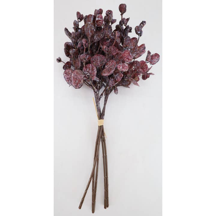 13,5" Tørret Eukalyptusbundt, Blomme for engroshandel hos Tremont Floral Supplies