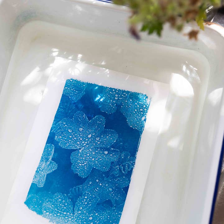 The Wild Darkroom – wholesale DIY craft kit – Cyanotype Printing Paper - A58