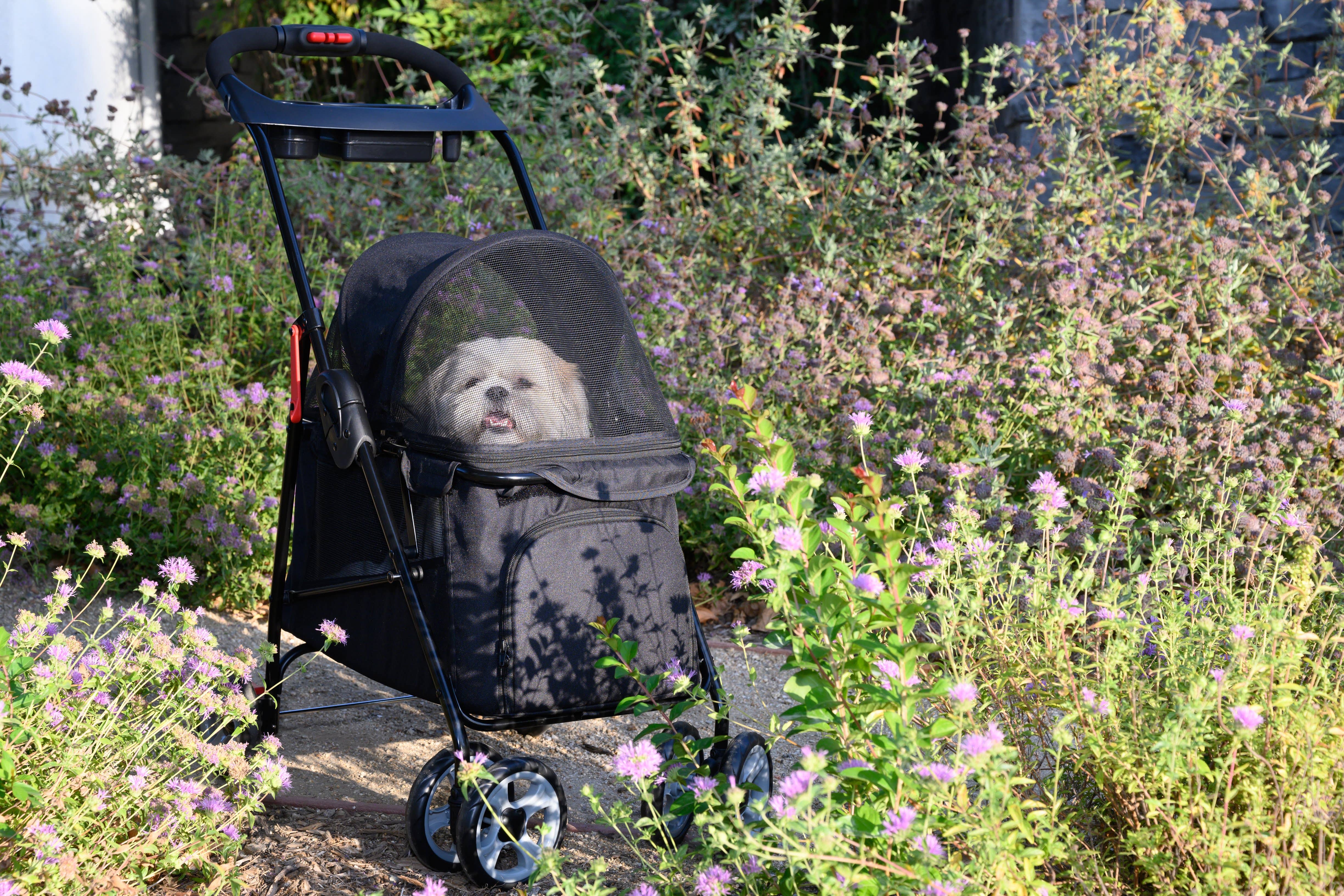 Petique - Wholesale Pet Carrier - Cat/Dog - Simplicity Pet Stroller3