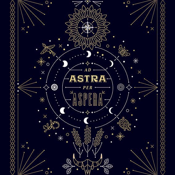 Cat Coquillette (Ad Astra) - WDC94842 for wholesale by The Art Group