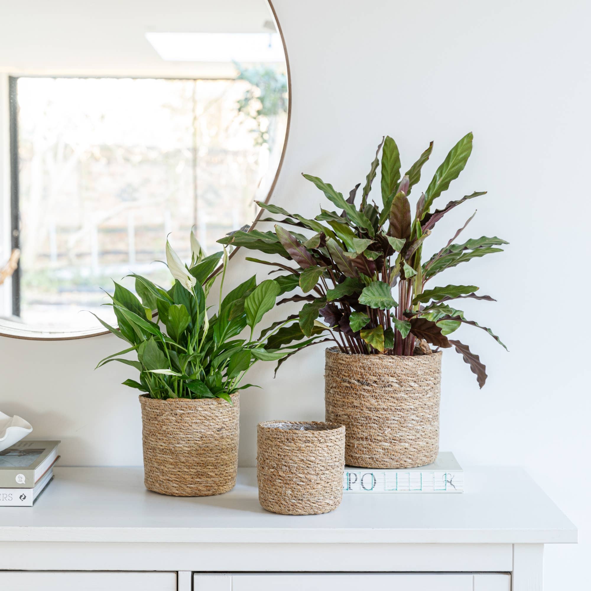 Ivyline - Wholesale Plant Pot - Theo Seagrass Lined Indoor Basket Planter Set of 33