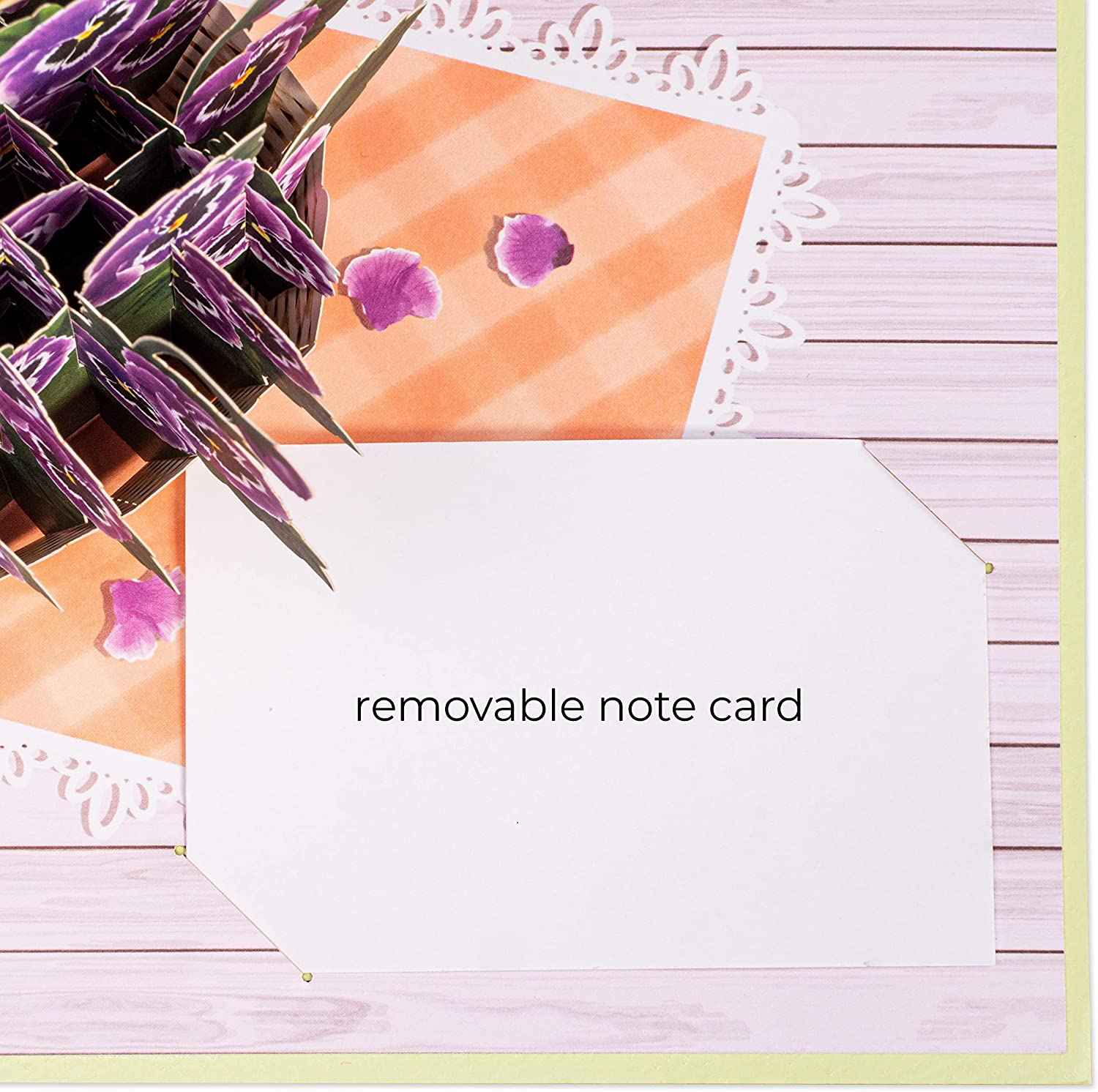 Paper Love - Wholesale Everyday Greeting Card - Morning Glory Pop Up Card4