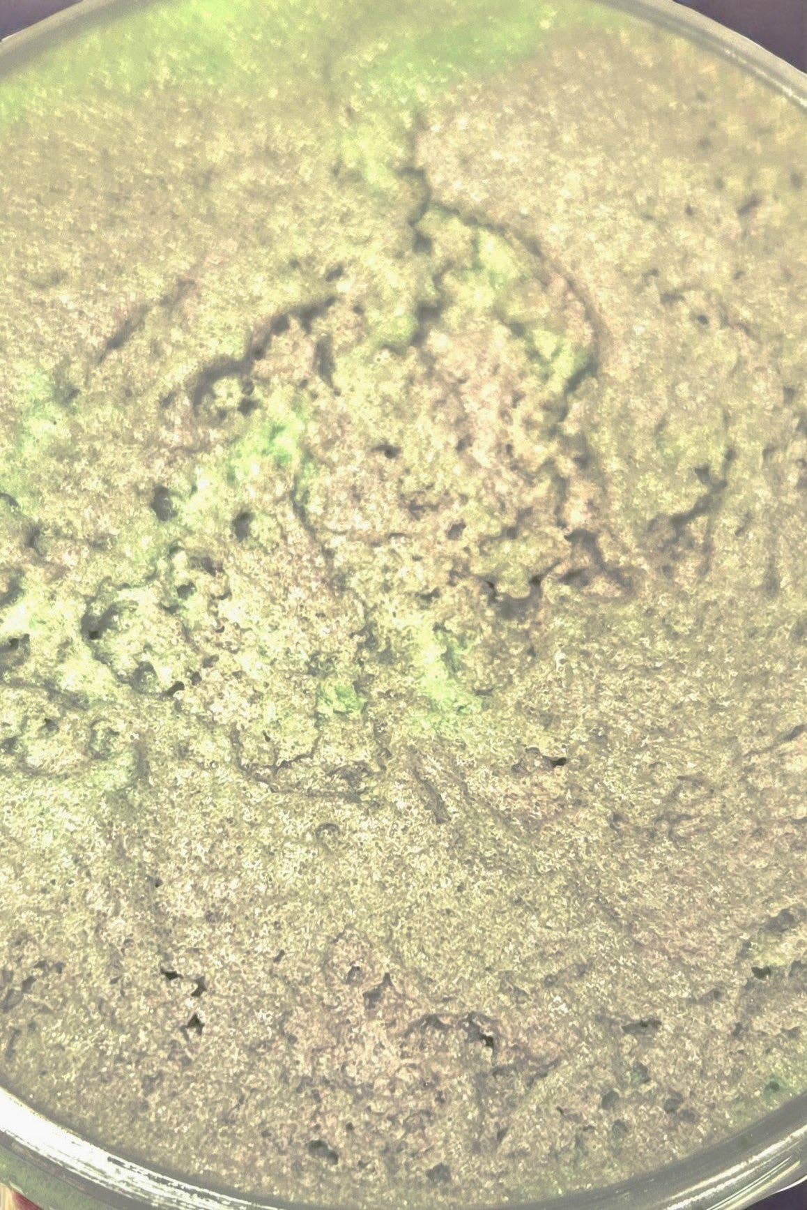 Bear Ridge Essentials - Wholesale Body Scrub/Exfoliant - Whipped Sugar Scrubs (Online Only- Buy 3 for $30)(Discounts on Discontinued Scents)16