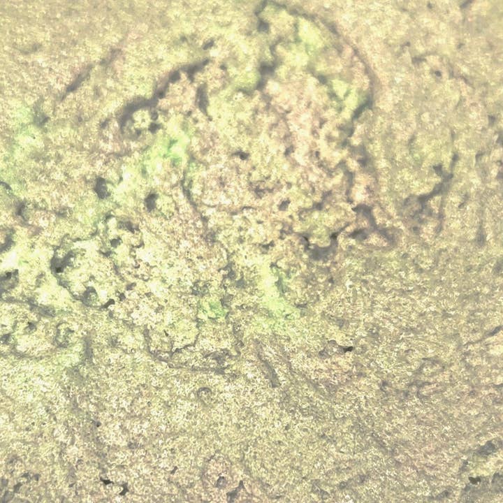 Bear Ridge Essentials - Wholesale Body Scrub/Exfoliant - Whipped Sugar Scrubs (Online Only- Buy 3 for $30)(Discounts on Discontinued Scents)16