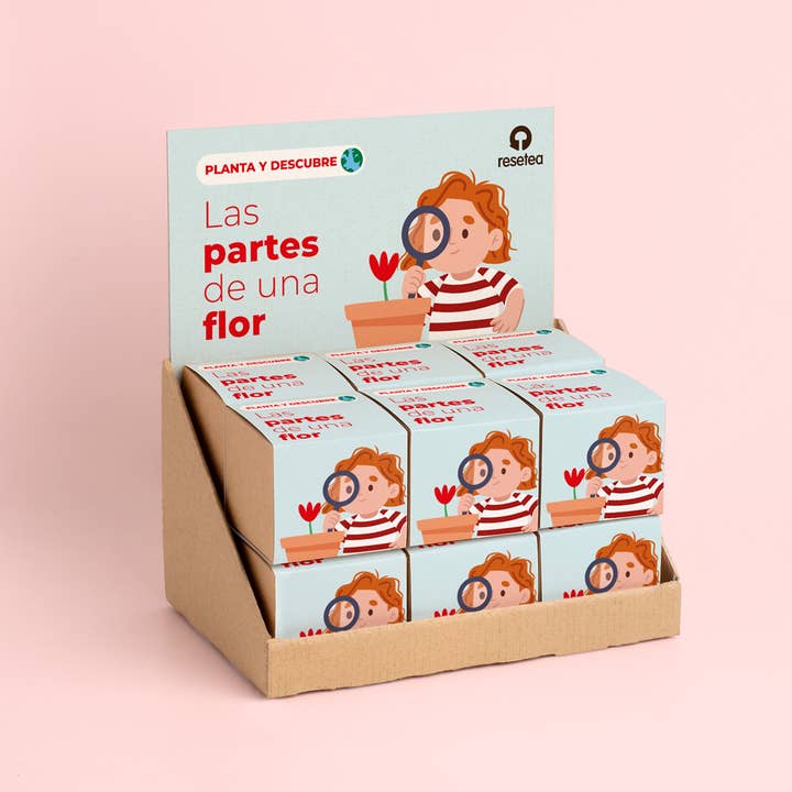 Expositor Las partes de una flor for wholesale by Resetea