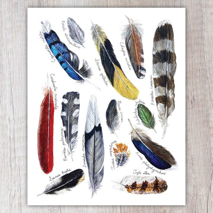 Feathers A2 Card for wholesale by Brush & Bark