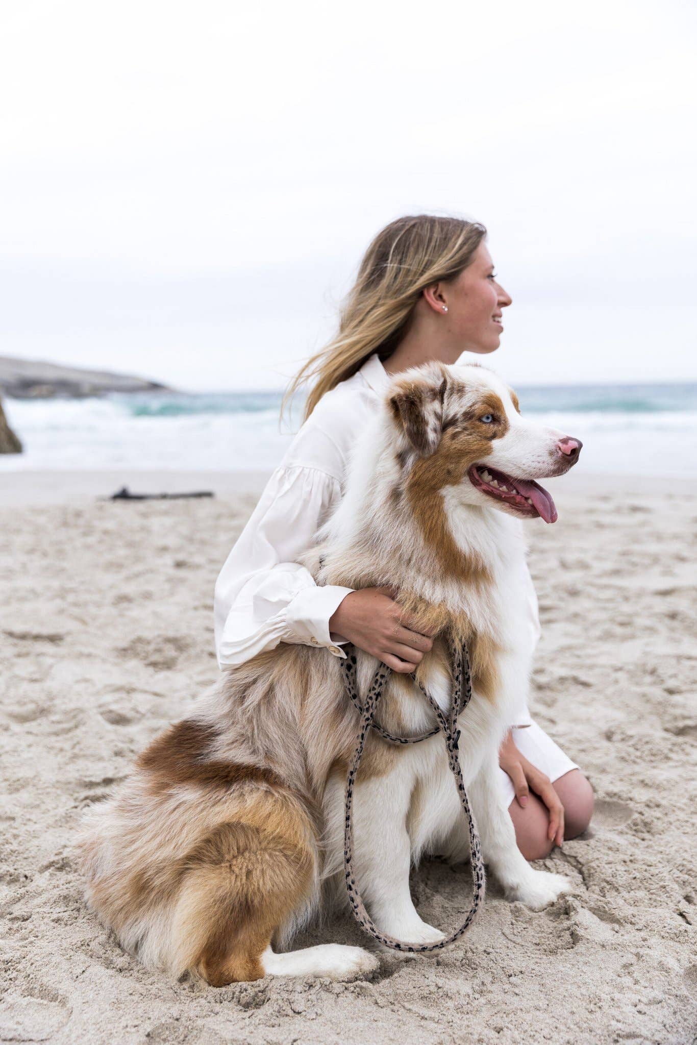 Studio Proud - Wholesale Pet Leash - Dog - Dog Leash Cheetah2