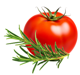 Lady Joseph – wholesale Crackers – Maxi Cracker with Tomato, Rosemary & Olive Oil Snack Cracker5