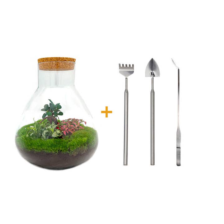 Trendhero.nl/b2b – Engroshandel DIY-hobbysæt – Terrarium DIY Kit - Sam XL Bonsai - Flaskehave - ↑ 35 cm