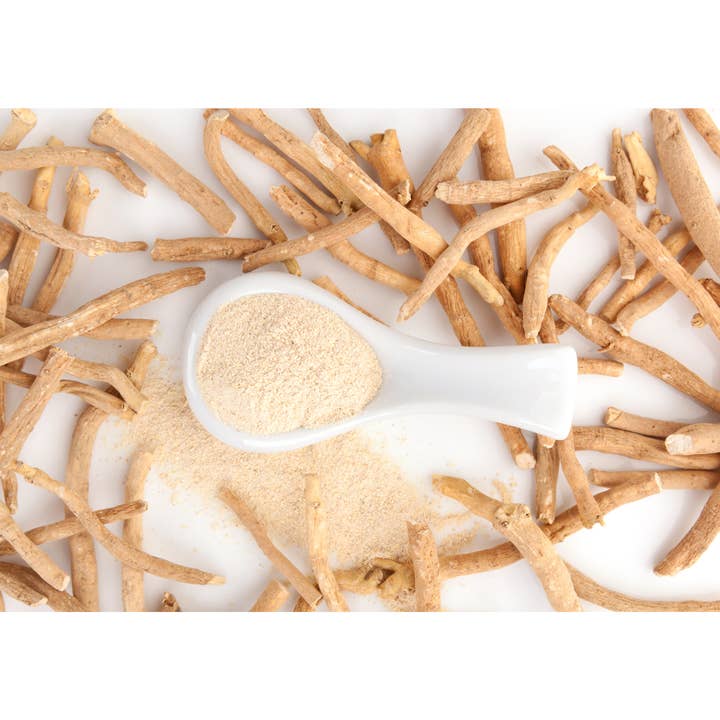 Wild Roots Herbal Care - Wholesale Hot Cocoa Mix/Kit - Mushroom and Adaptogen Cocoa1