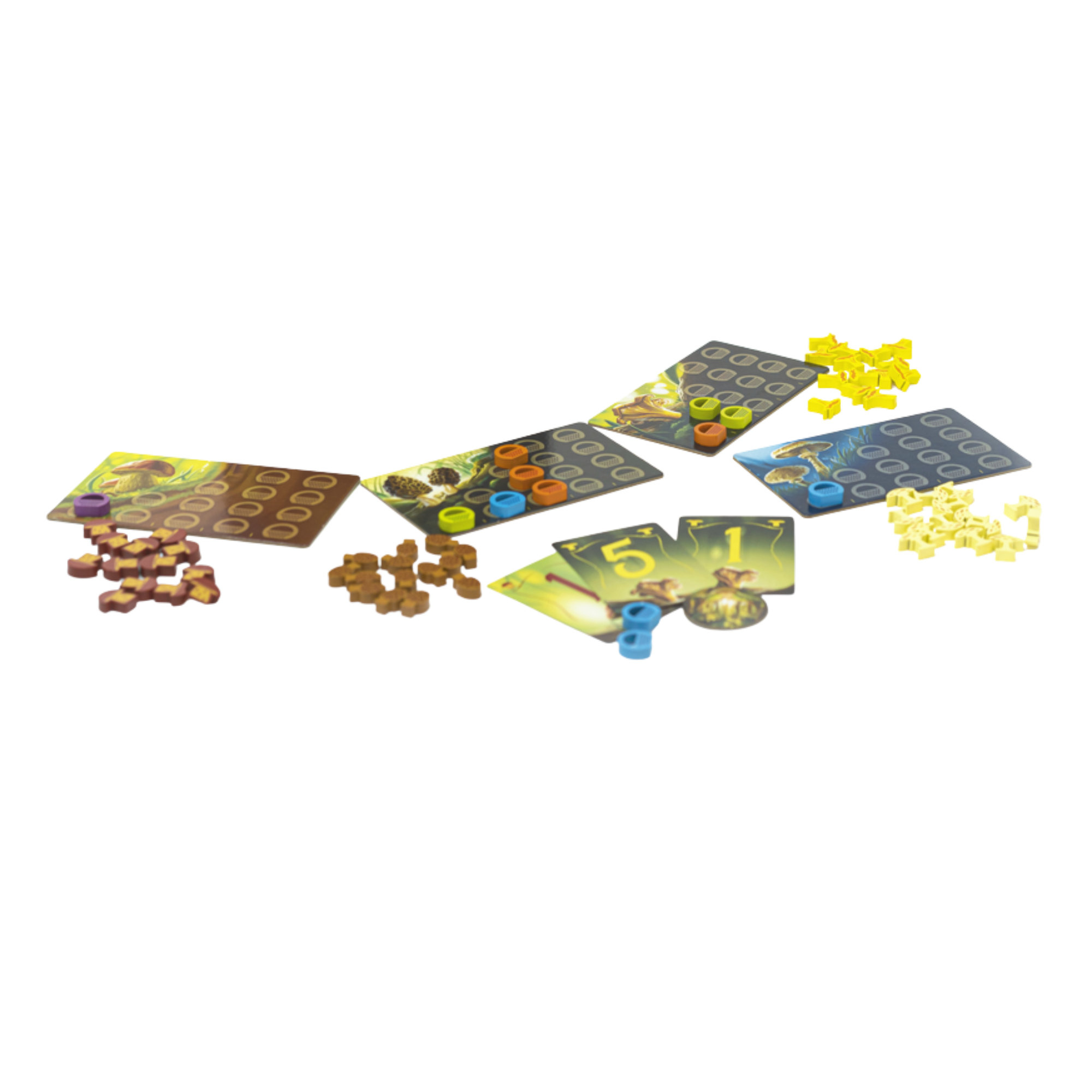 Blue Orange Games - Wholesale Board Game - Wonder Woods : The Fantastic Mushroom Hunting Strategy Game1
