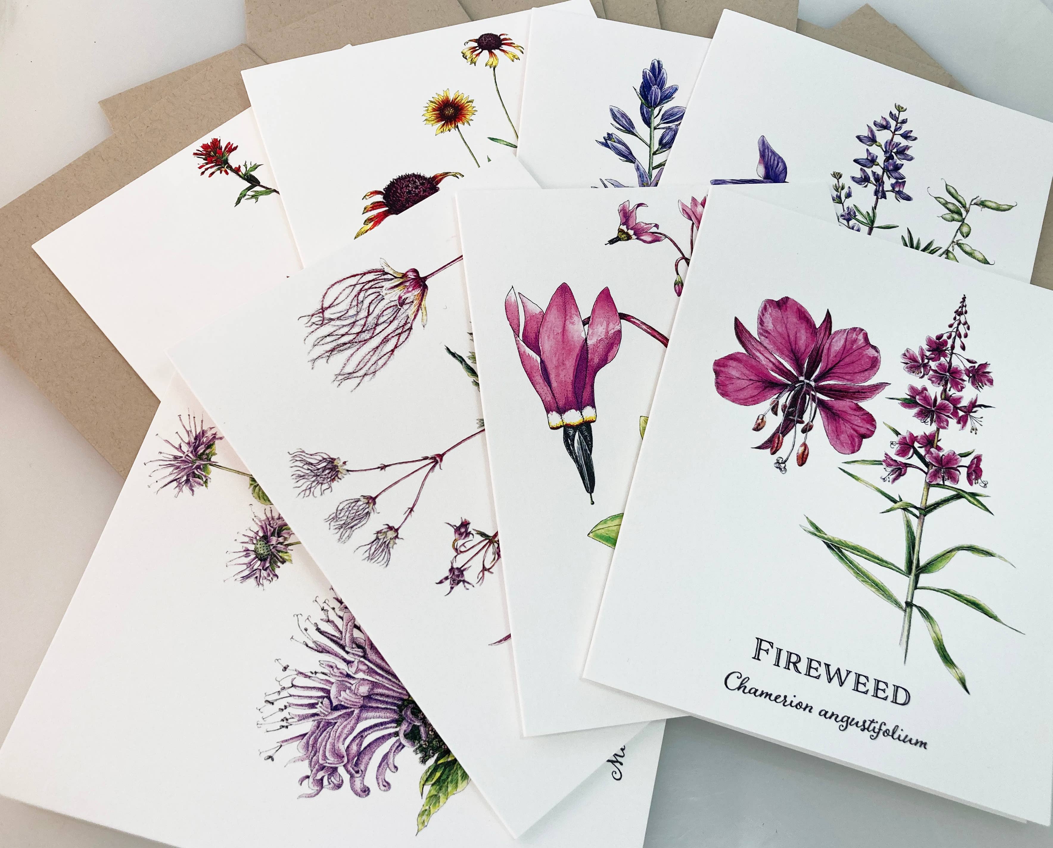 Madrona Press - Wholesale Everyday Greeting Card - Wildflower Card Set - 8 assorted flowers4