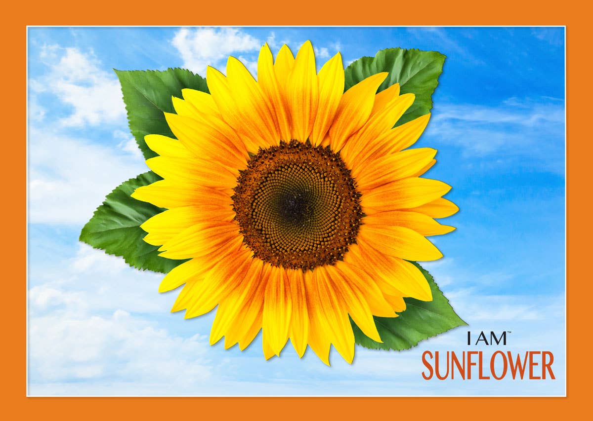 Madd Capp Games & Puzzles - Wholesale Puzzle - Adult - I AM SUNFLOWER 350 piece jigsaw puzzle - gift4