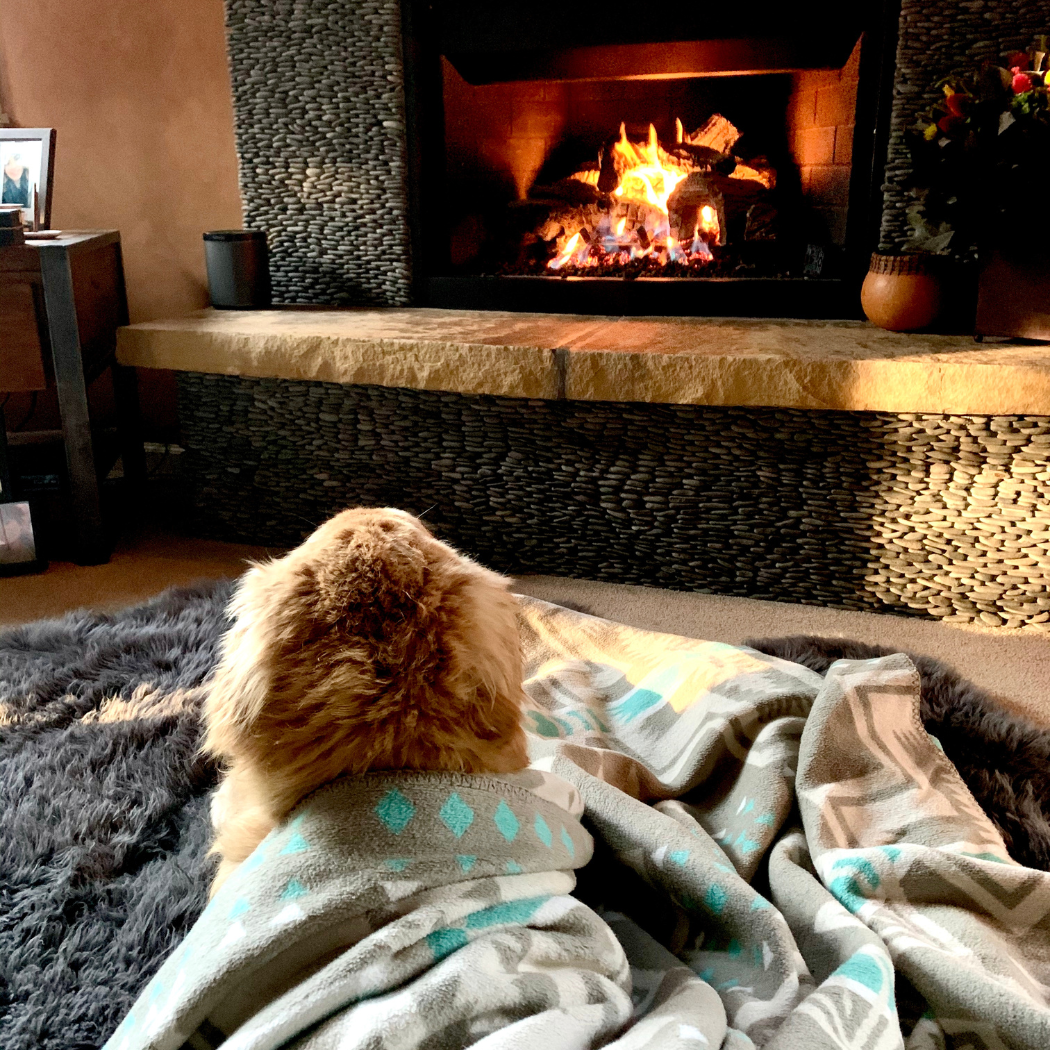 Follow Your True North - Wholesale Throw Blanket - Wasatch Blanket4