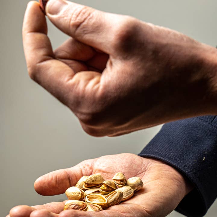 RAYA - Wholesale Nuts - Organic Roasted and Salted Pistachios Bag3