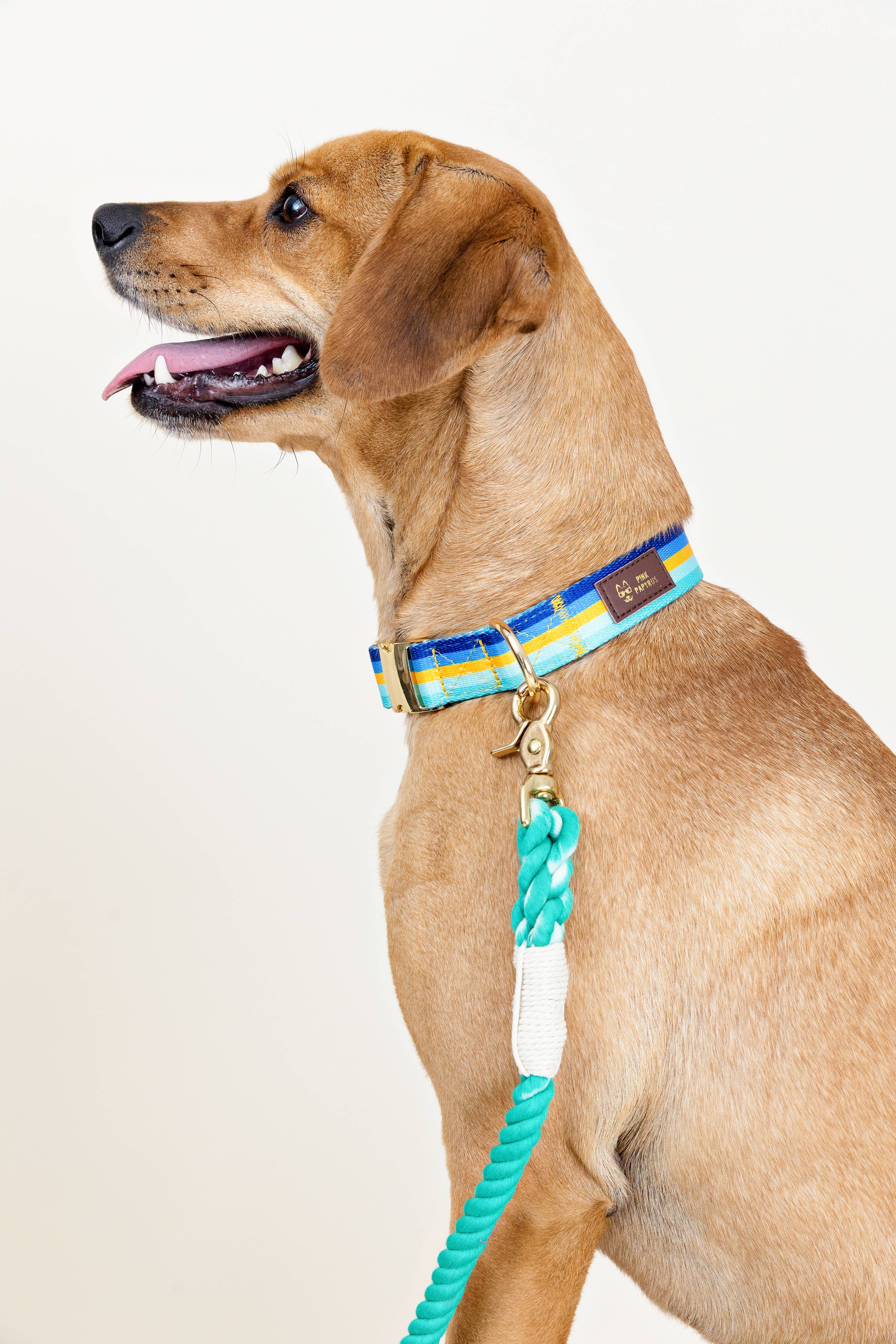 Pink Papyrus | Premium, Durable, & Stylish Dog Products - Wholesale Pet Leash - Dog - Ariel Rope Dog Leash | Dog Leash | Green Leash2