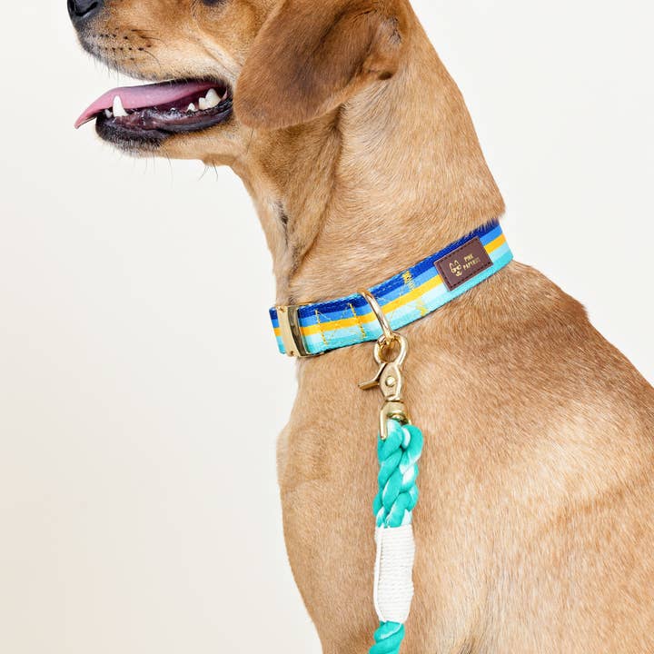 Pink Papyrus | Premium, Durable, & Stylish Dog Products - Wholesale Pet Leash - Dog - Ariel Rope Dog Leash | Dog Leash | Green Leash2