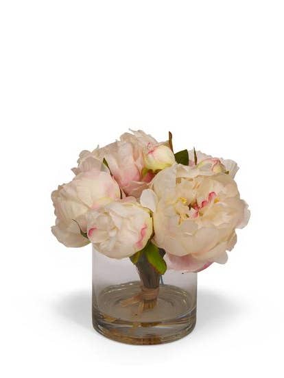 Fresh Cut Peony in Glass Jar - CREAM for wholesale by T&C Floral Company