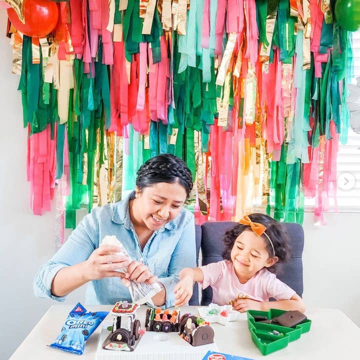 Oh My Darling Party Co - Wholesale Decal - Party Decorations - Merry Mix Fringe Backdrop6