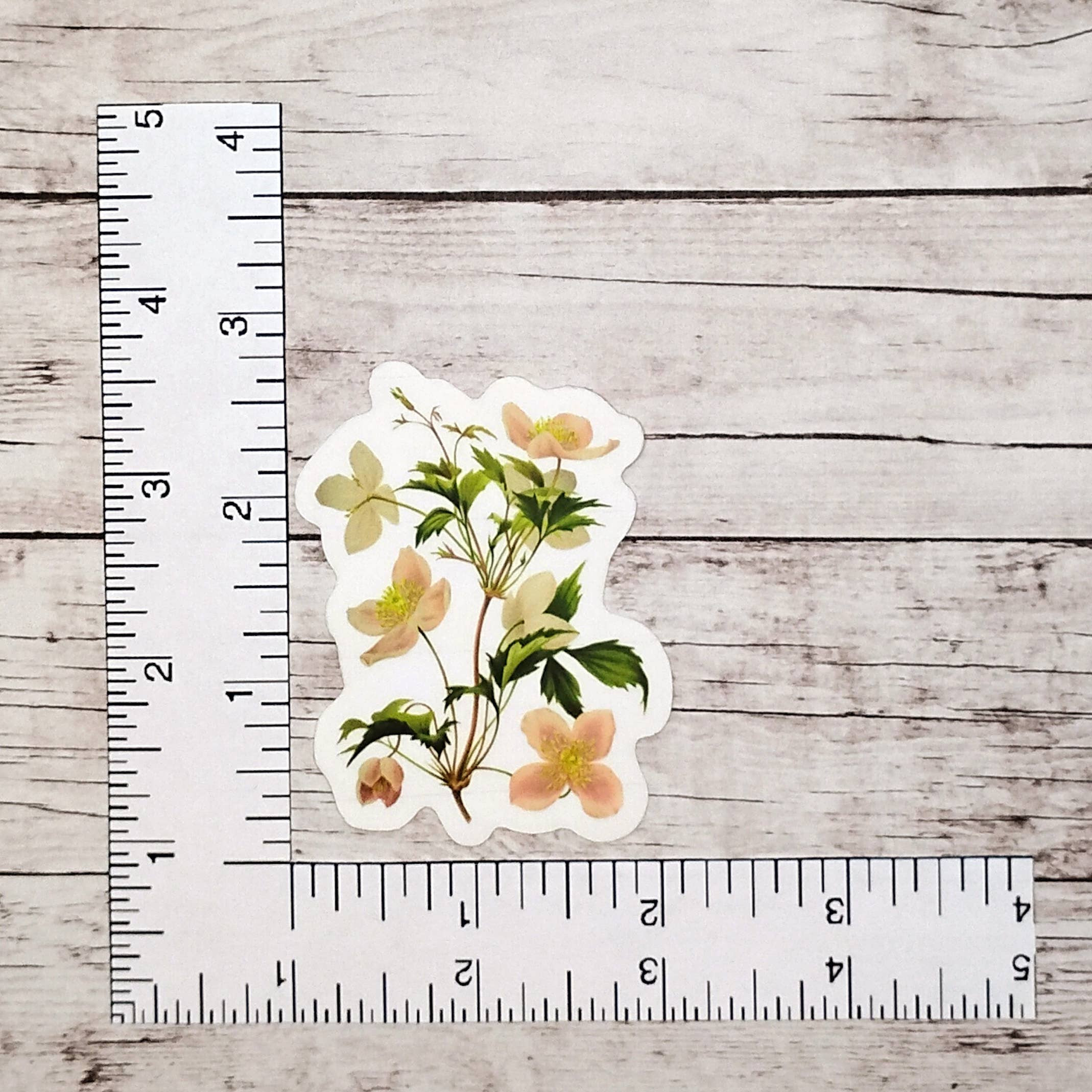 Fable & Fen, LLC - Wholesale Sticker - Clematis Sticker2
