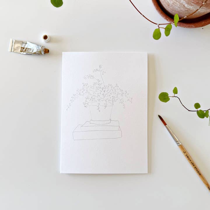 emily lex studio - Wholesale Stationery/Notecard Set - potted plants paintable notecards