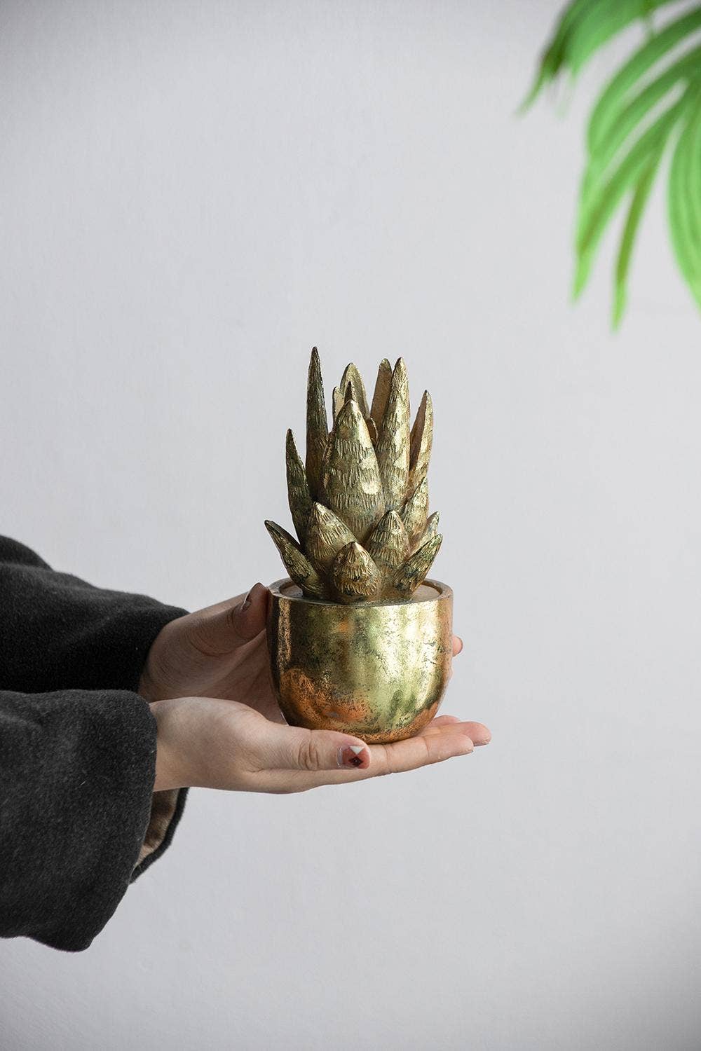 A&B Home Group Inc. - Wholesale Decorative Tabletop Object - D3.5x7" Golden Succulent Resin Planter10