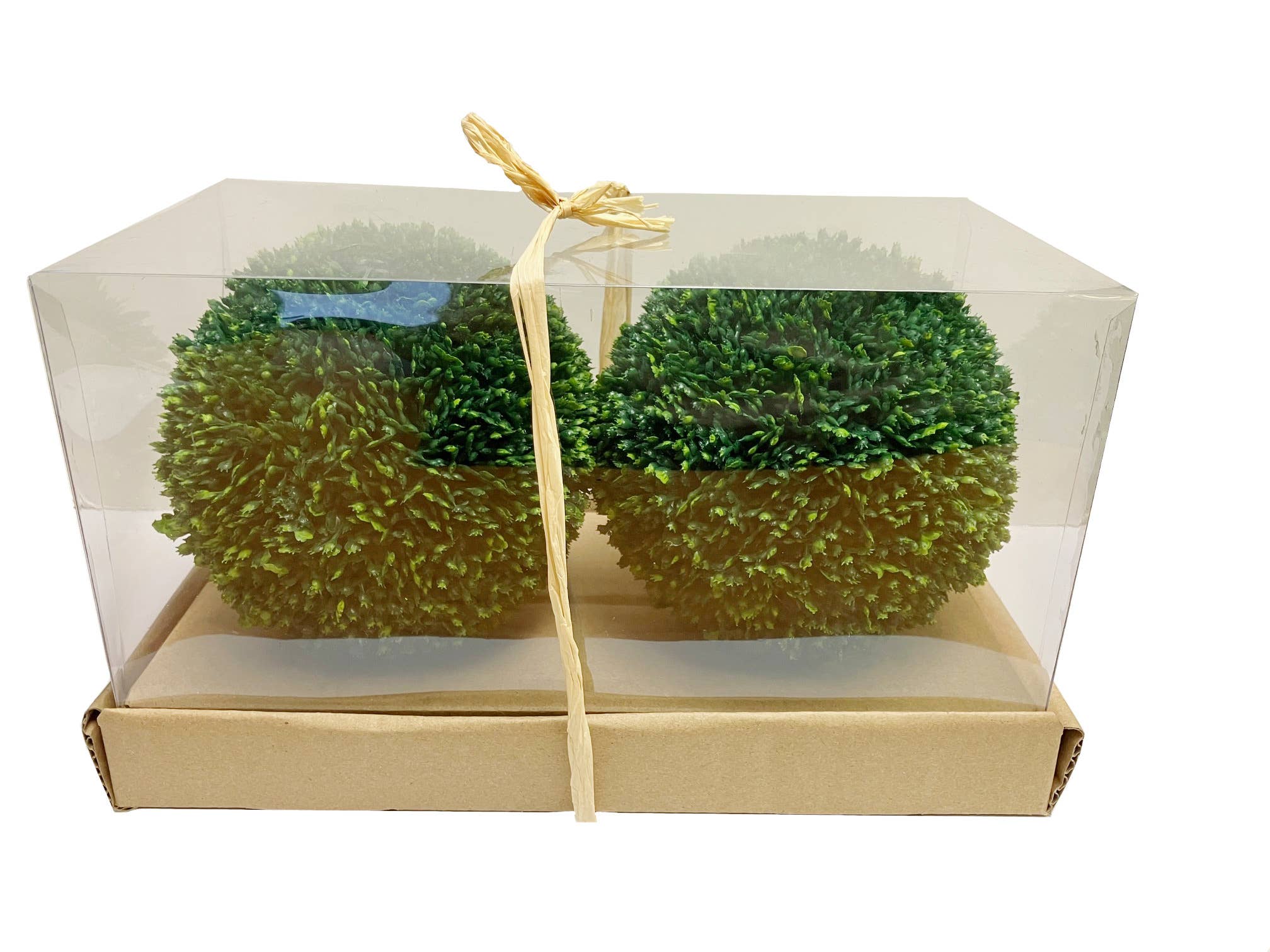 Will's Company - Wholesale Artificial Plant - Boxwood Orbs, Set of 2 - 5" D1