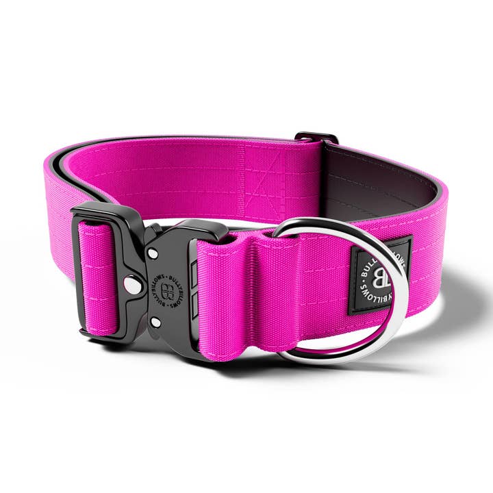 Collar de Combate® de 5 cm | Clip Calificado - SIN ASA - Magenta v2.0 para venta al por mayor de BullyBillows Ltd