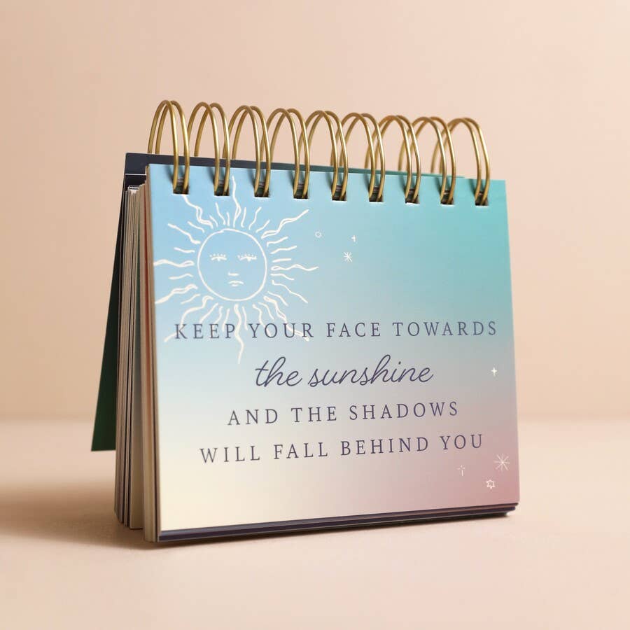 Lisa Angel - Wholesale Planner - Celestial Positivity Flip Chart3