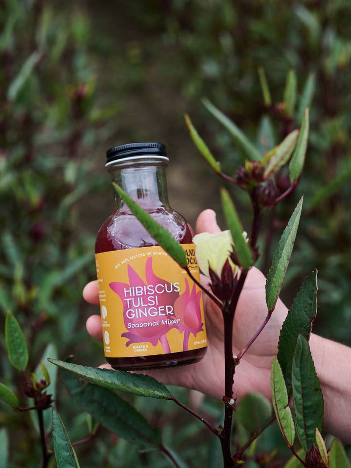 Hibiscus Tulsi Ginger Seasonal Mixer 8oz for wholesale by Land + Local