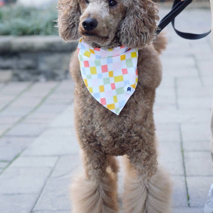 Dog Bandana Co. - Wholesale Pet Bandana - Dog - Popsicle Dog Bandana3