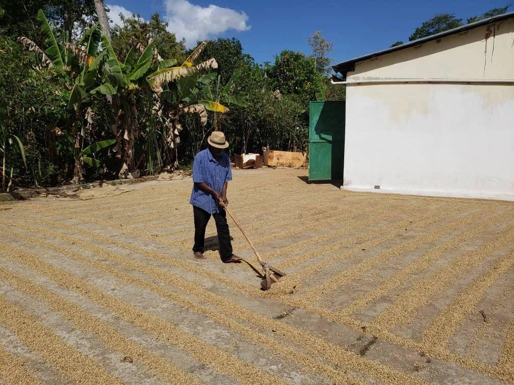 Caribbrew - Wholesale Ground Coffee - 5 lbs Medium Ground Coffee1