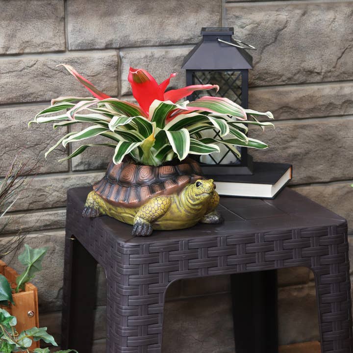 Sunnydaze Decor - Wholesale Plant Pot - 11 in Teddy the Tortoise Indoor/Outdoor Garden Planter