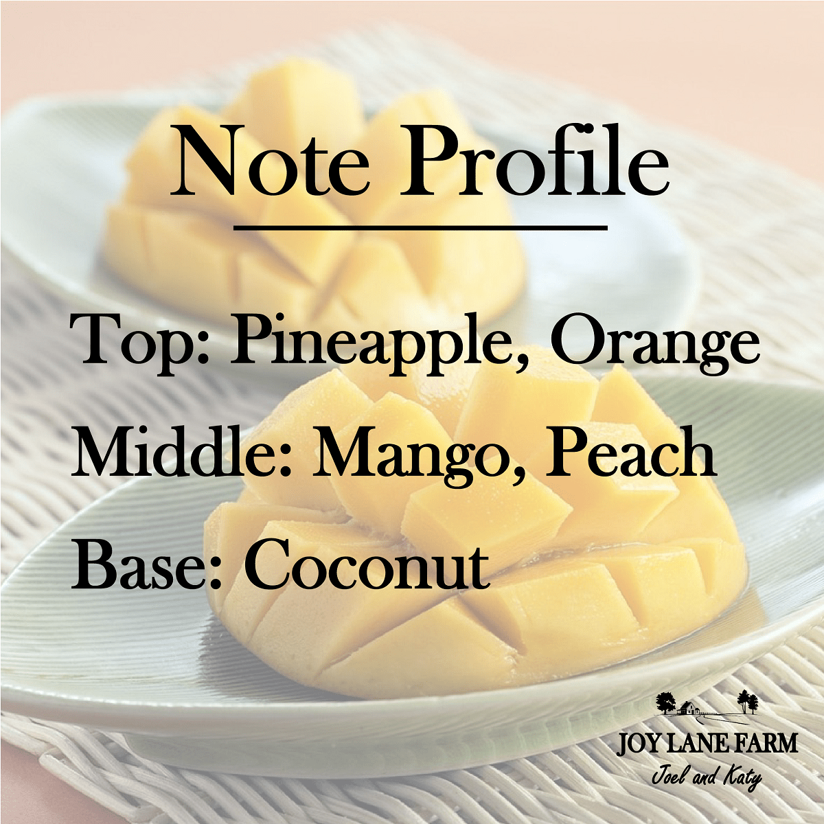 Joy Lane Farm - Vendita all'ingrosso Spray per tessuti e ambienti - Spray per ambienti al mango e cocco1