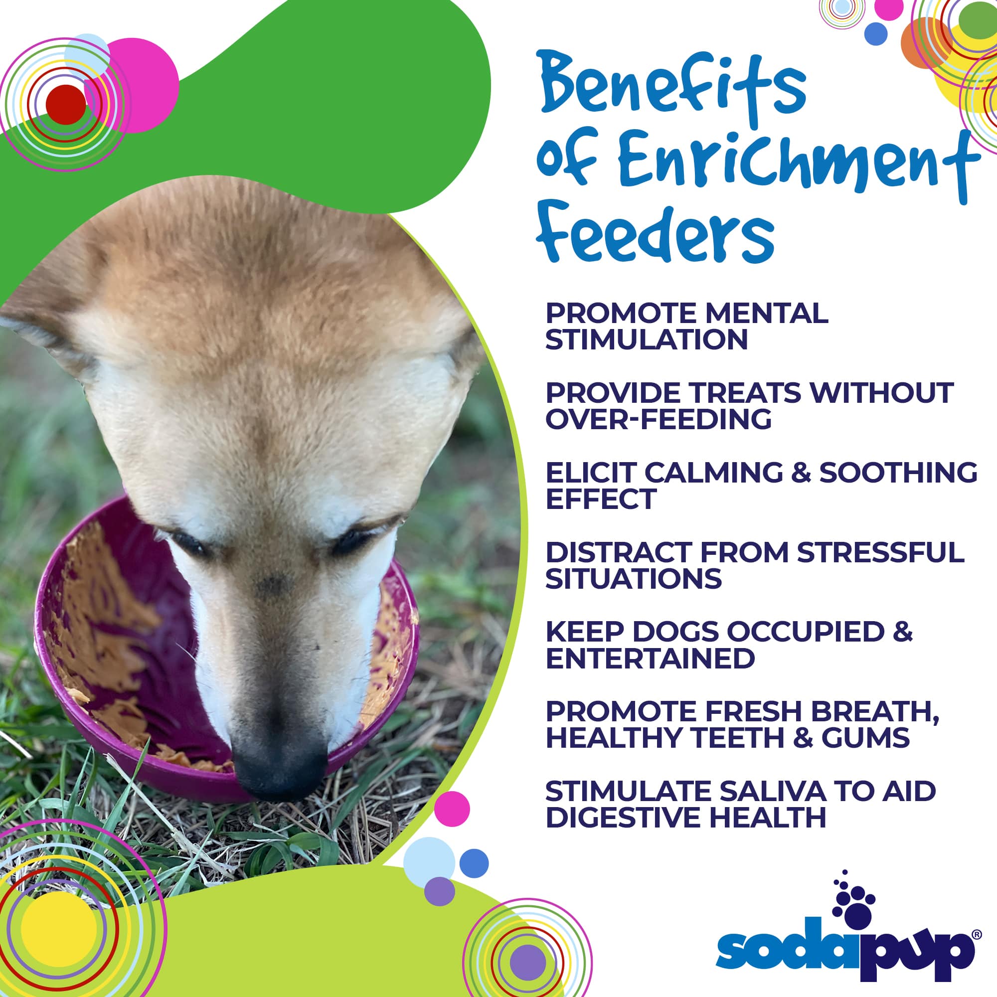 SodaPup Dog Toys - Wholesale Pet Bowl - Cat/Dog - Garden of Eatin' Tipsy Bowl2