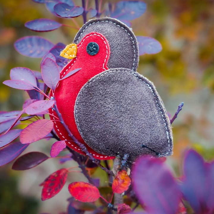 Aurora Paws - Vente Jouet à mâcher – chien - Rodney le Rouge-gorge Jouet Écologique de Noël pour Chien1