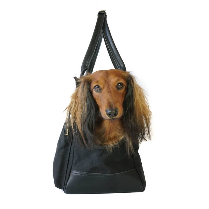 DJANGO - Wholesale Pet Carrier - Dog - Dog Carrier Bag - Black Waxed Canvas and Leather9
