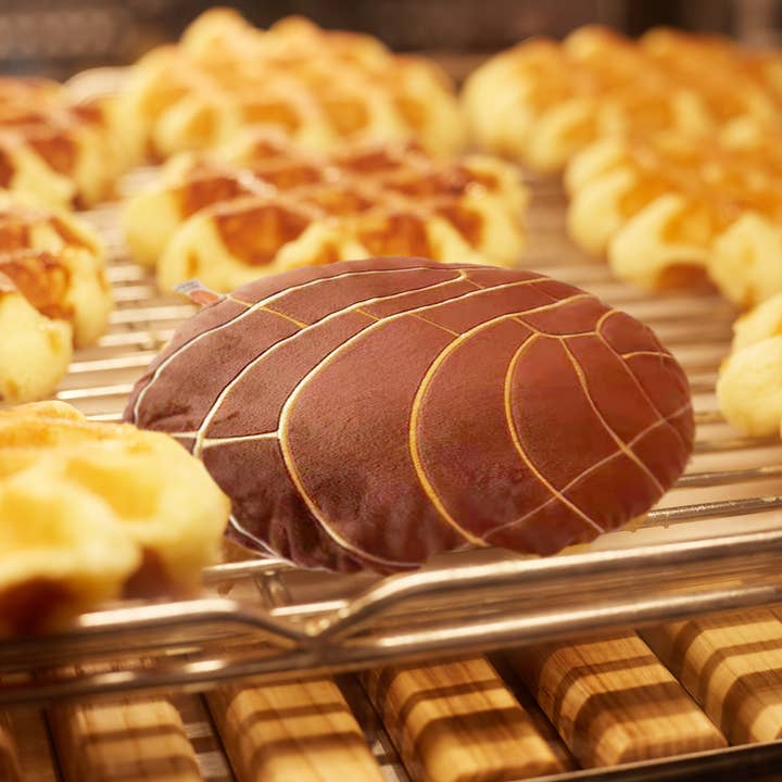 Abound Lifestyle - Wholesale Throw/Decorative Pillow - Concha Bread Decorative Throw Pillow16